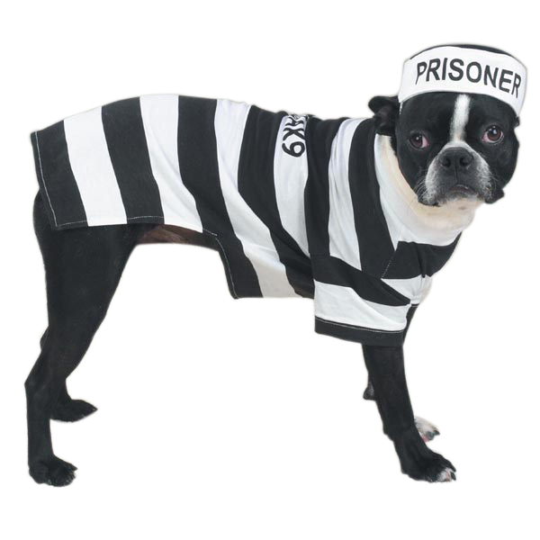 Casual Canine Prison Pooch Fångdräkt Hundkostym - XS