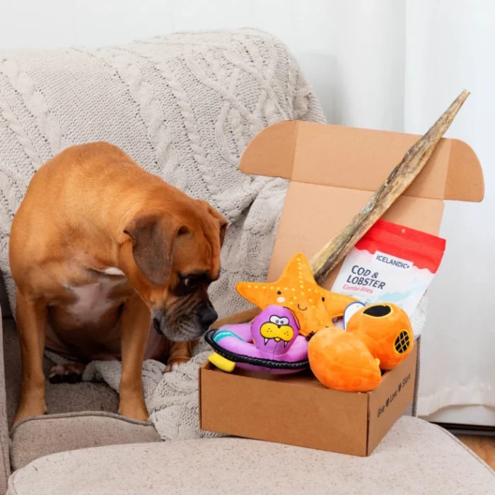 Hund Mystery Box - Julklapp till Hund - Presentbox med Hundprodukter - Brons, Liten