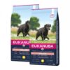 Eukanuba Dog Senior Large 2 x 15kg