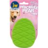JW Prickly Pear Chew hundleksak