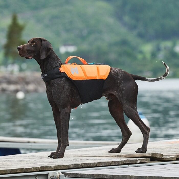 Non-Stop Dogwear Protector Flytväst till hund Orange & Svart (2)