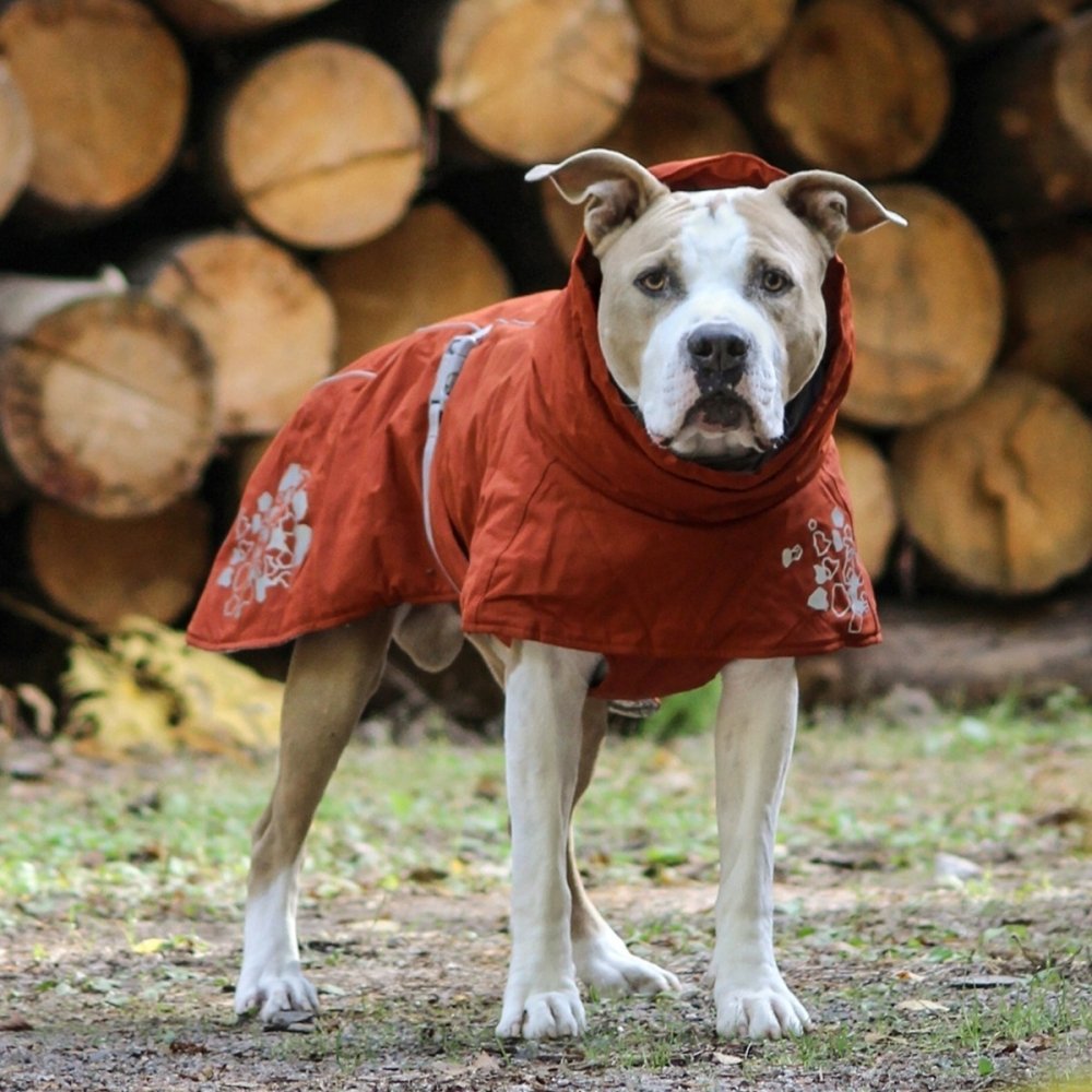 Vintertäcke för hund | Värmande, vattenavvisande, rödbrun | Hurtta