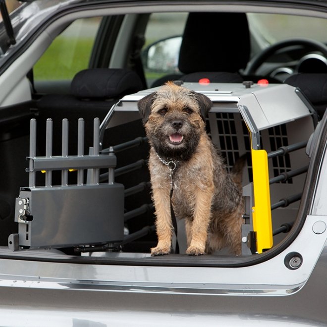 Krocktestad hundbur | Kompakt, justerbar, aluminium | MimSafe