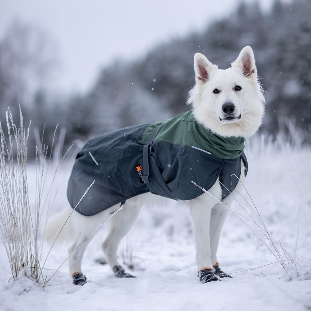 Vintertäcke för hund | Ull, Mörkgrön & Svart | Non-stop Dogwear