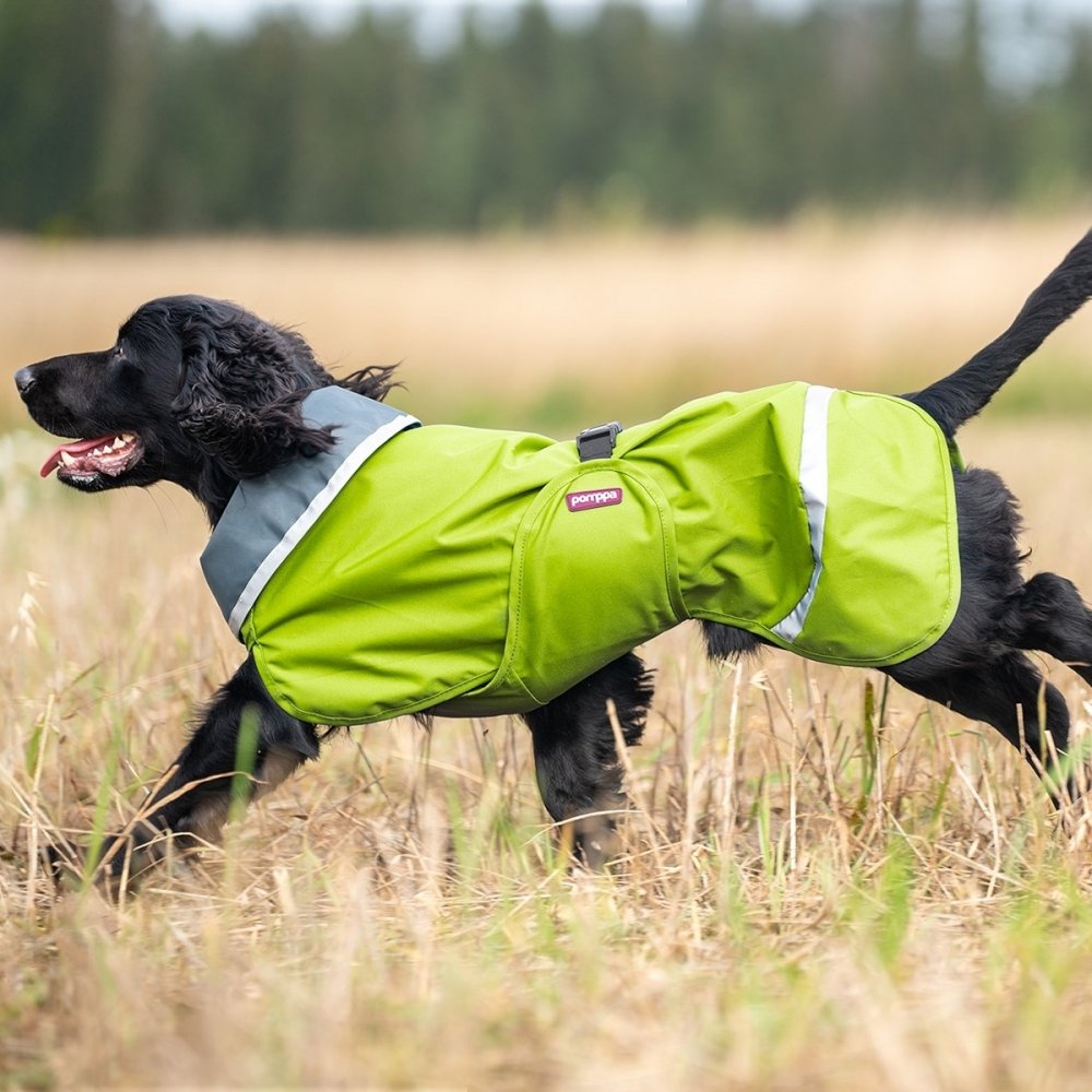 Regntäcke Hund | Vatten- och vindtät, Grön, Återvunnet material | Pomppa