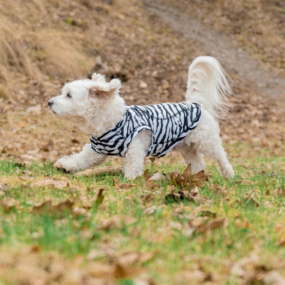 Fästingskydd Hundtröja | Stretchigt material, Zebramönster, XS-XL | Rukka