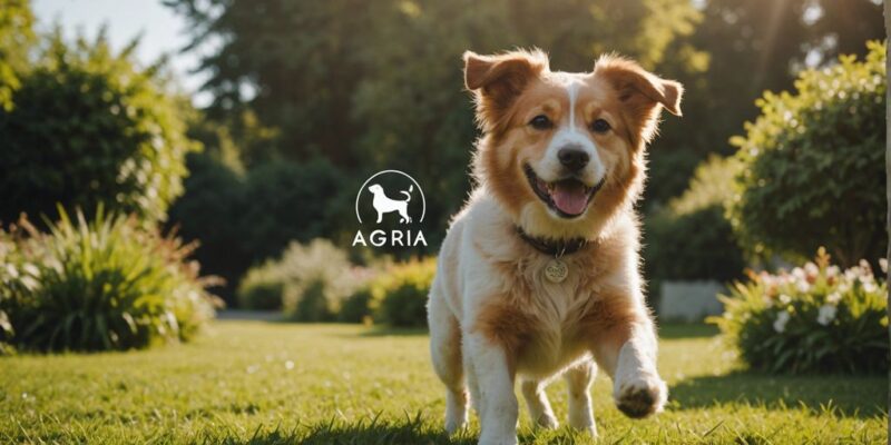 Happy dog with shiny coat playing in sunny garden, Agria logo in corner.