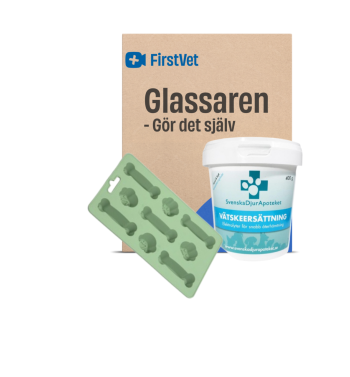 Glassaren - Gör det själv-paket till hund eller katt - "Glassaren" - gör det själv