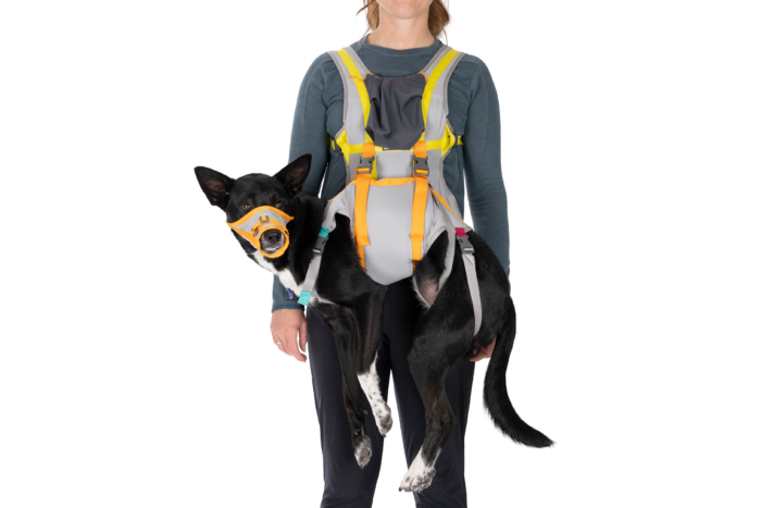 Ruffwear BackTrak Dog Evacuation Kit - Cloudburst Gray (S (56-69 cm))