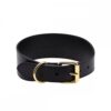 Collar of Sweden Brett Halsband Svart (XS)