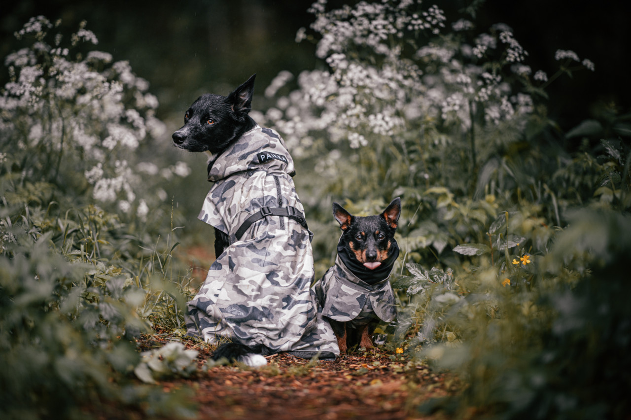 Reflekterande Regnjacka för Hund | Vattentät, Camo, Justerbar