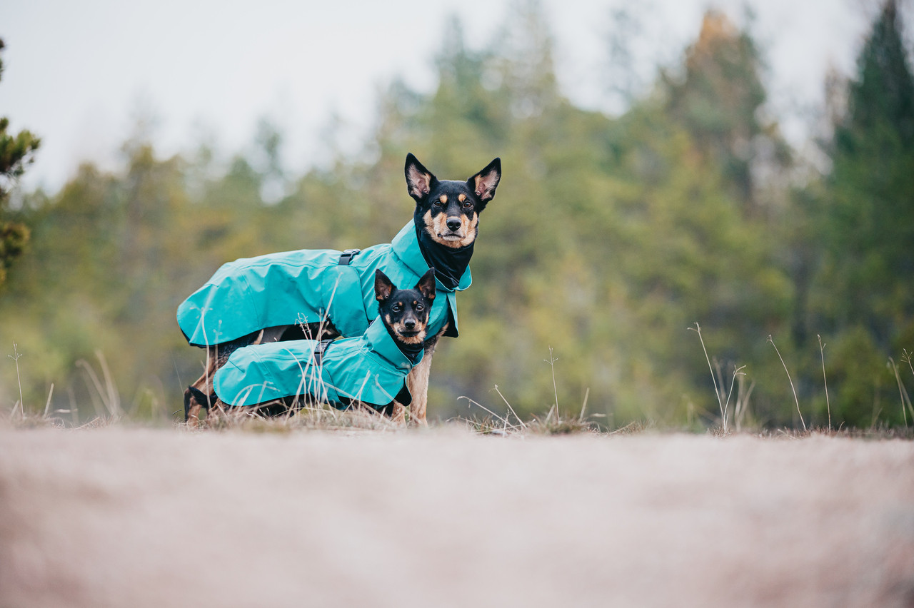 Reflekterande Regnjacka för Hund | Vattentät, Grön, Justerbar | Emerald