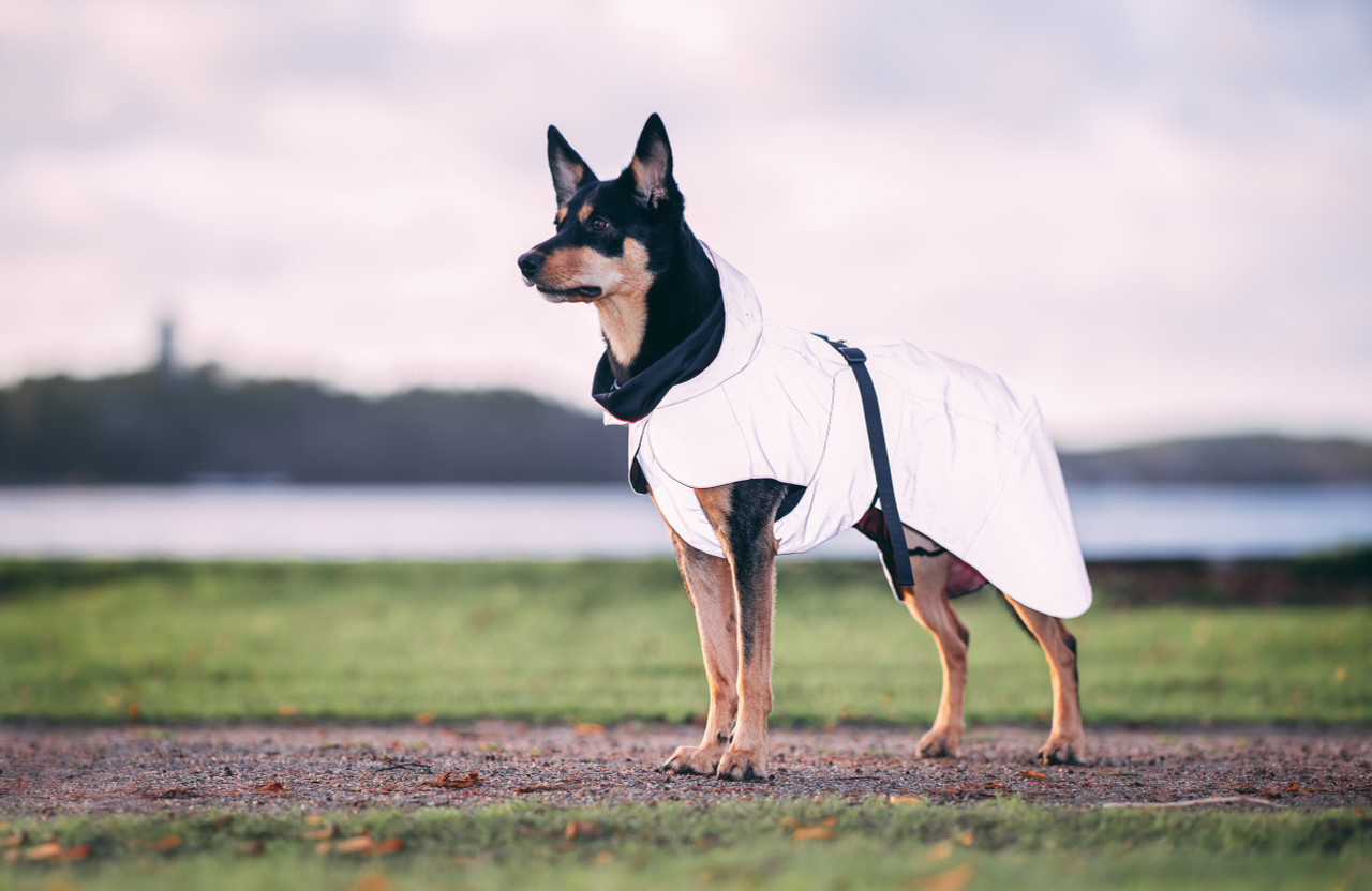 Reflekterande Regnjacka för Hund | Rosa, Vattentät, Justerbar