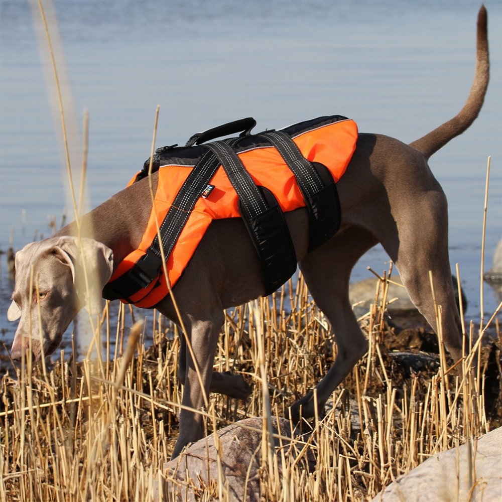 Flytväst för Hund | Orange, Neopren, XS | Rukka