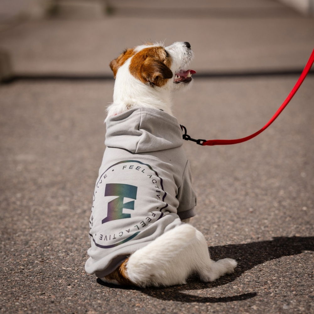 Hundtröja med Luva | Grå, Mjuk Bomull-Polyester | Feel Active